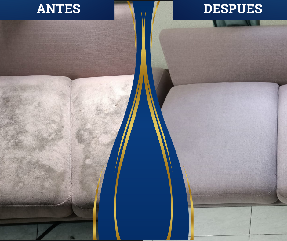 Trabajo de limpieza 4 en Ciudad de México